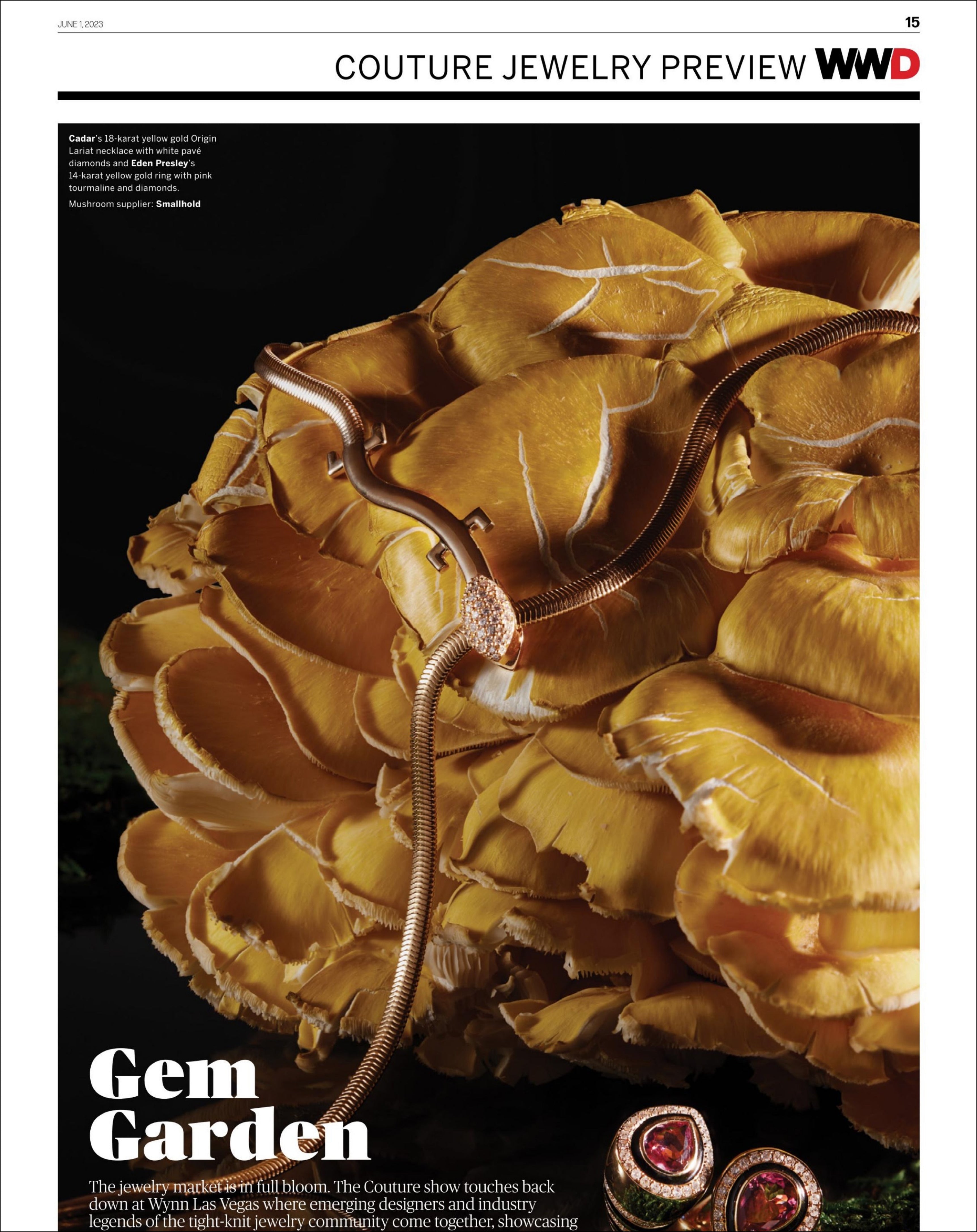 WWD Couture Preview, June 2023